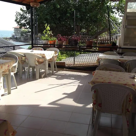 Selen Guest house 3*