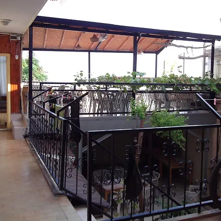Selen Side